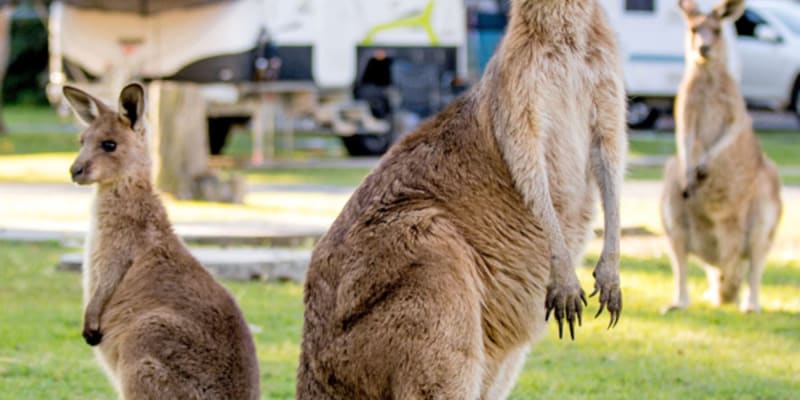 Photo by Marketing T.