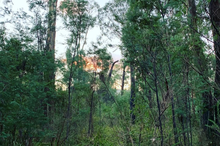 Photo by Brooklyn E.