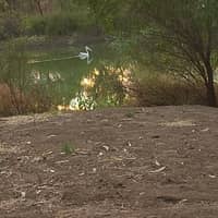 Photo by Caroline S.