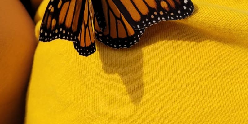 Photo by Sanchia Keeleigh Gray