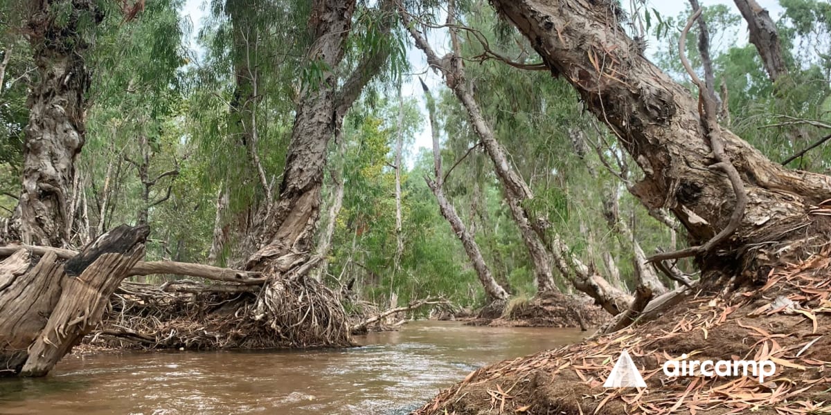 Flying Fox Creek