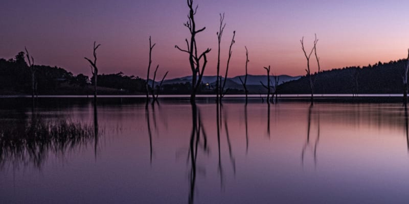 Photo by Genazzano R.