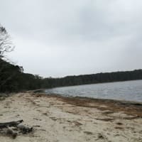 Photo by Ahmad Musa Ababneh