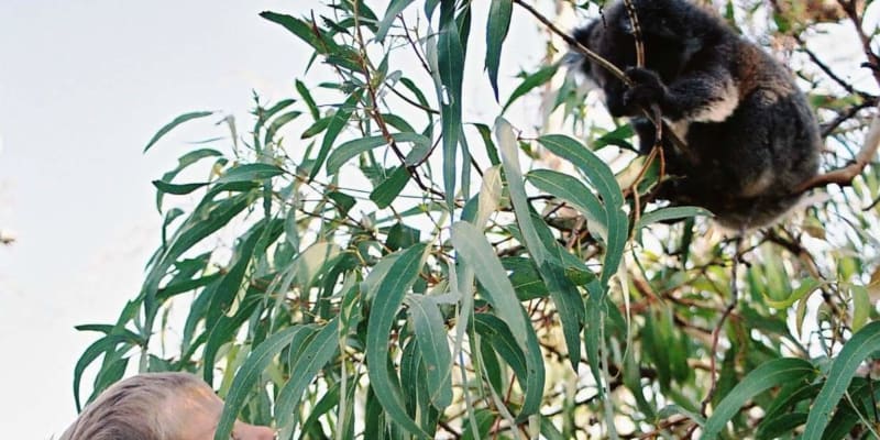 Photo by Helen de la Perrelle