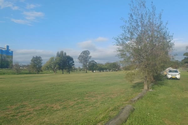 Photo by ★Mimosa☆Turlinjah★