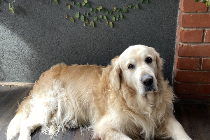 Photo by Barry and Di O'Connor