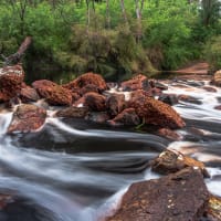 Photo by harneyphoto