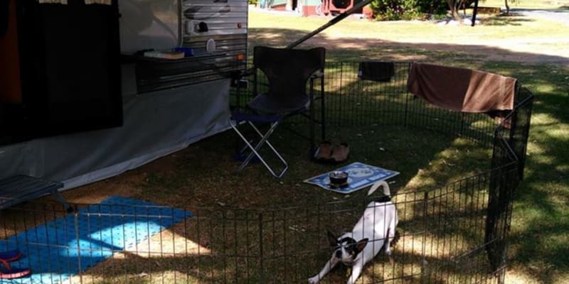 Photo by Michelle C.