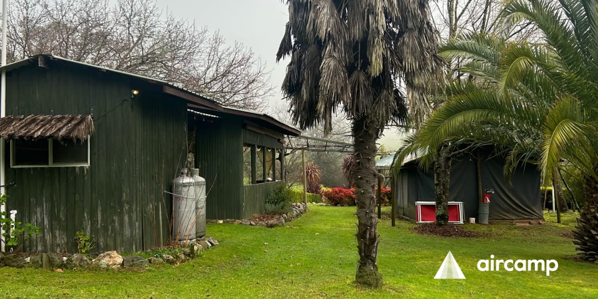 Bharatralia Jungle Camp