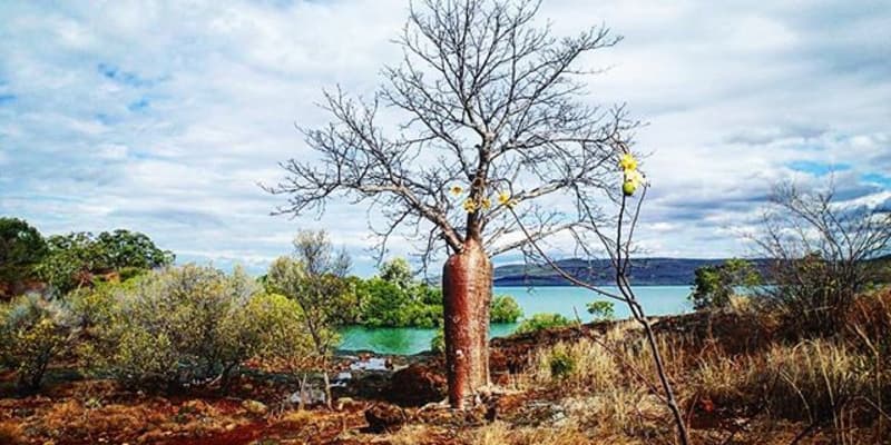 Photo of Kimberly Coastal Camp