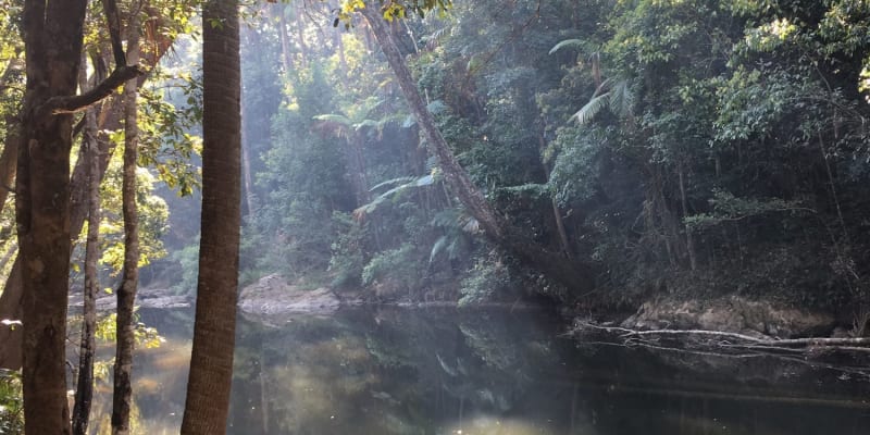 Photo of Fern Flat Campground