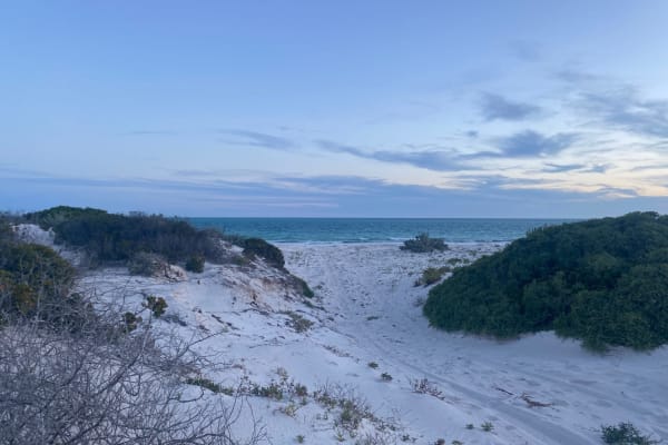 Photo by Elisabeth D.