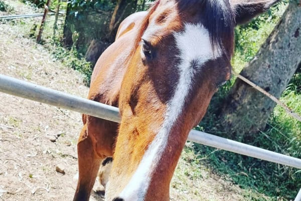 Photo by Charmayne R.