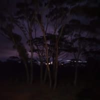 Photo by CATHERINE H.