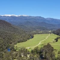 Photo by Courtney  Krause