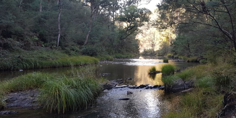 Photo by Laurence Van Burck