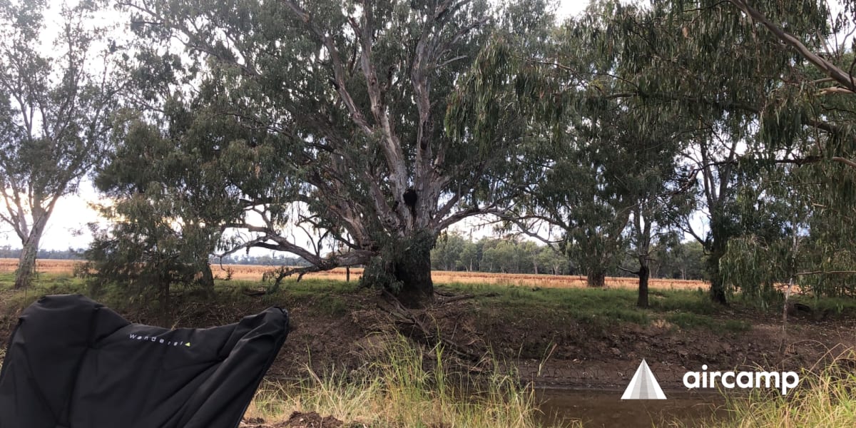 Lachlan River Campground