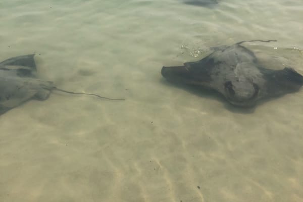 Photo by Benjamin A.