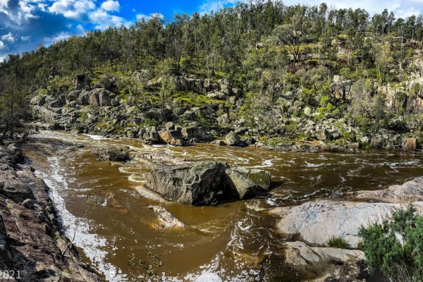 Photo by Dylan Bob Dwyer