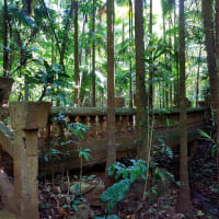 Photo by My Rig Adventures