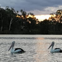 Photo by Michelle D.