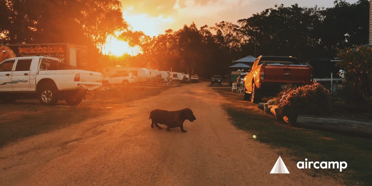 Campbell's Caravan Park