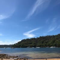 Photo by _haere.ki.waho_