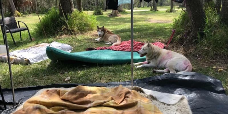 Photo by Jodie Roadster Campny