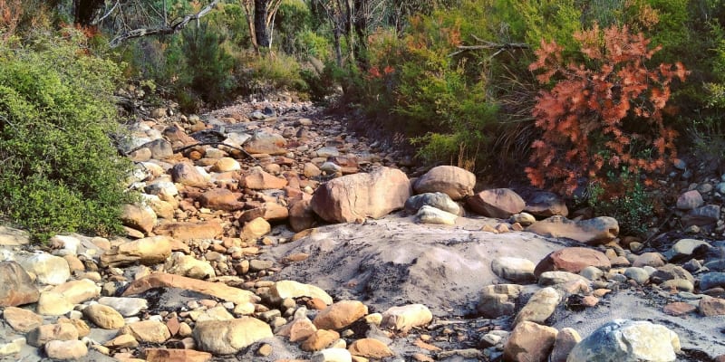 Photo by Bronskilala