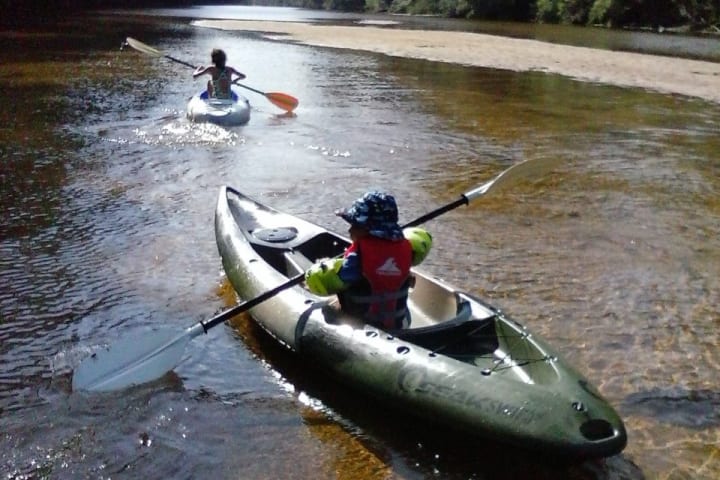 Photo by Tracy N David Ross