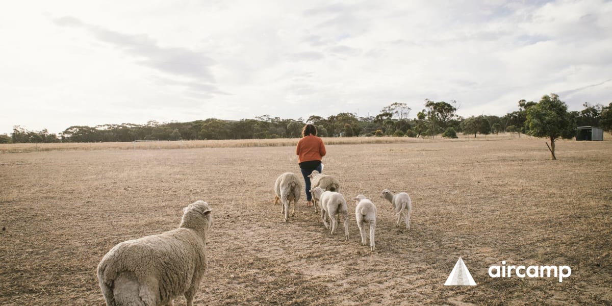 The Paddock Camp Corrigin