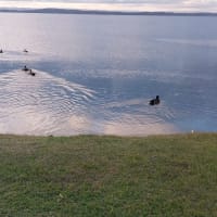 Photo by Colin van den Hoff