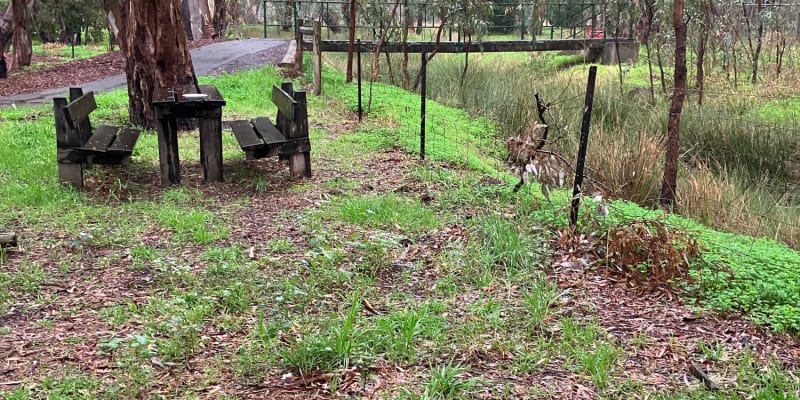 Photo by TassieTraveller