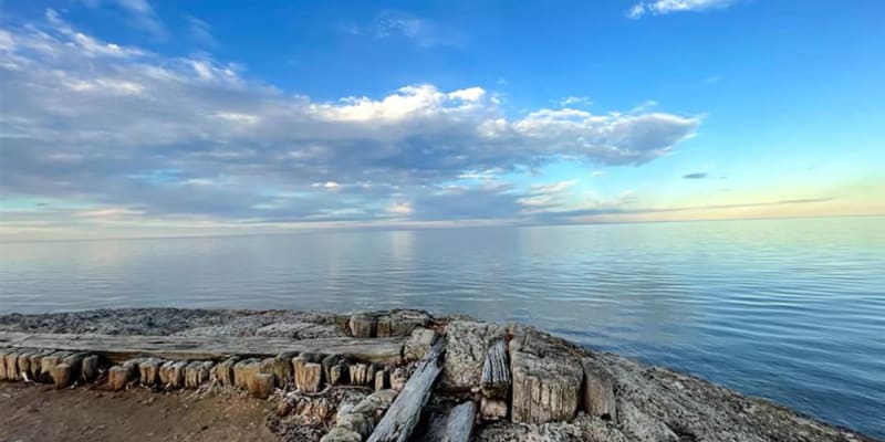 Photo by Yvette & Gavin Bright