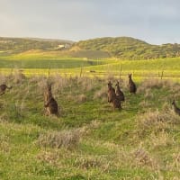 Photo by Elizabeth L.