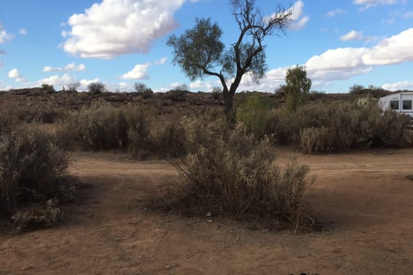 Photo by Christina T.