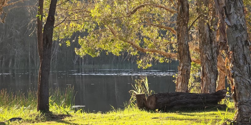 Photograph of Top 9 glamping spots near Billinudgel, NSW