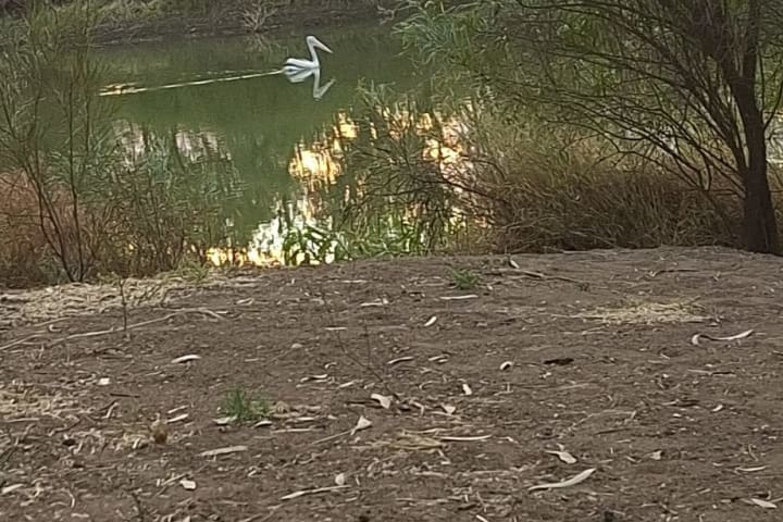 Photo by Caroline S.