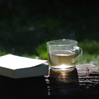 Photo by Brucethegoose