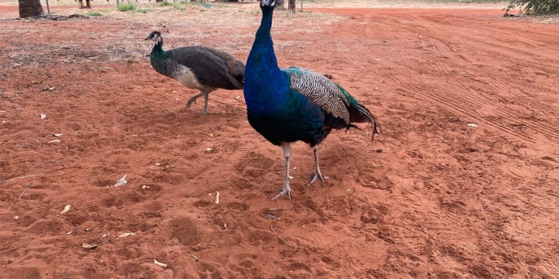 Photo by Katharine F.