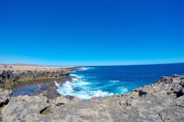 Photo by Kim & Shane