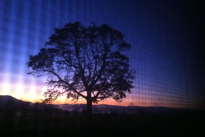 Photo by Belbrooke Pty Ltd as trustee for the Belbrooke Administration Trust