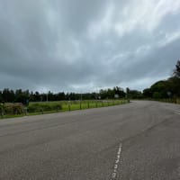 Photo by Francesca G.