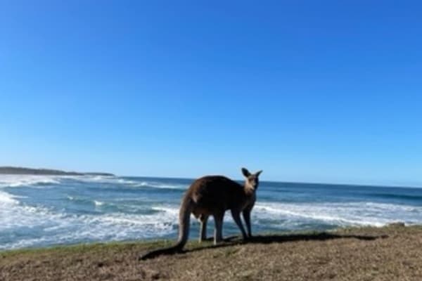 Photo by Ben + Elana