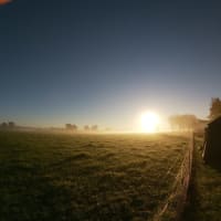 Photo by Diego Mauricio Sanchez Camacho