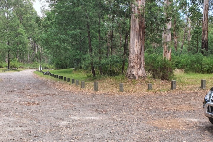 Photo by prashant h.