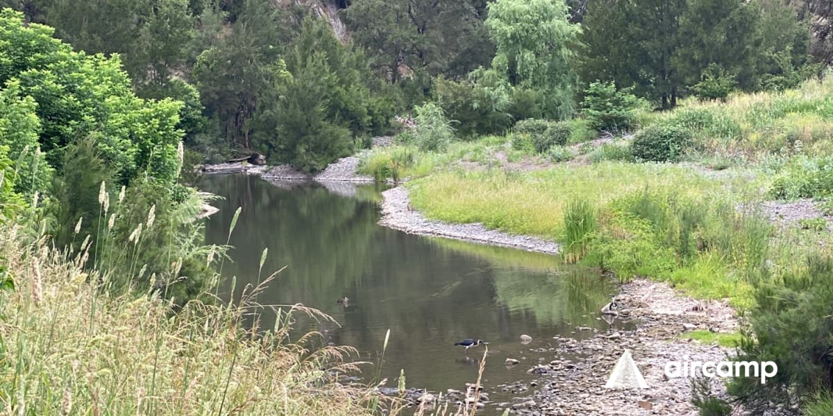 Swamp Creek Camp Area