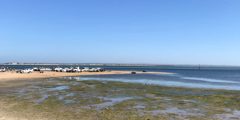 Photo by Nick van Reesema