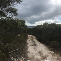 Photo by Michelle C.