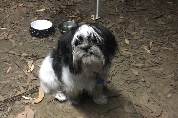 Photo by Harry James Nosaran